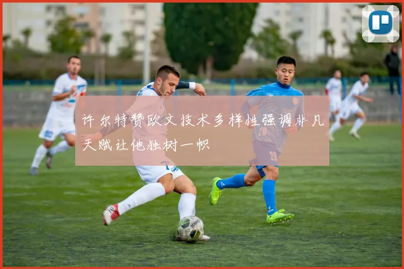许尔特赞欧文技术多样性强调非凡天赋让他独树一帜