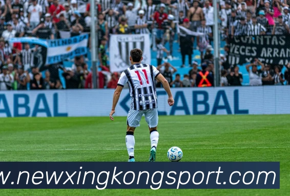 星空足球平台生态图