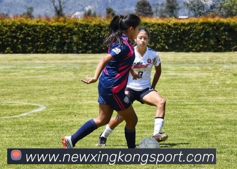 星空足球全站App