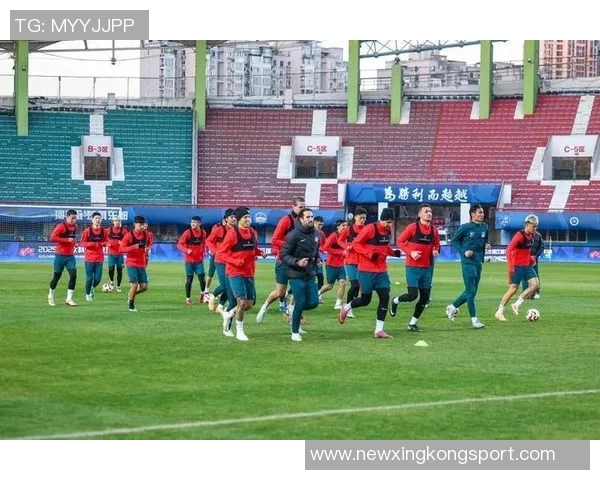 河南队引进前海港外援古斯塔沃31岁锋线新援加盟助力球队冲击新赛季